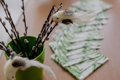 PierwszyDzienWiosny35