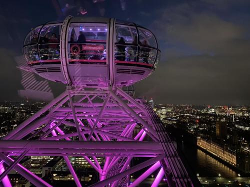 385520340 3515856905329899 2459088067810138446 n