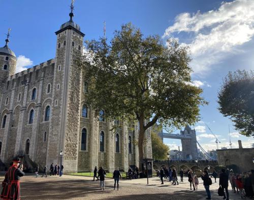 385524889 360921663113764 870122261856614978 n