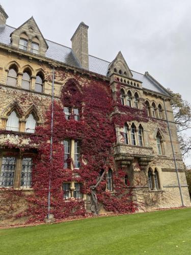 385531079 3791851177807127 8745406259308230887 n