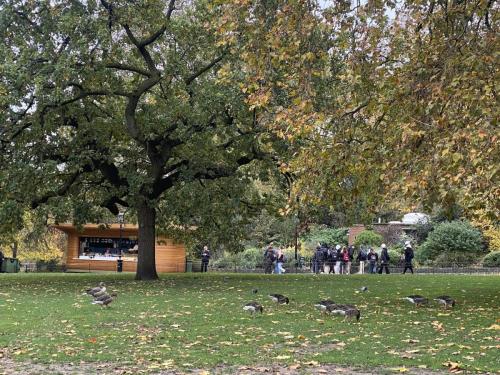 385536939 1037443707301730 4136888841800597057 n