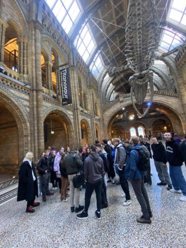 385540093 1351089558843708 9187084229839014825 n