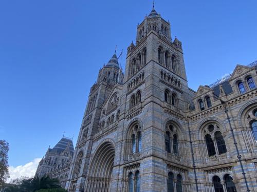 385540722 1267909631276705 2704568248750020610 n