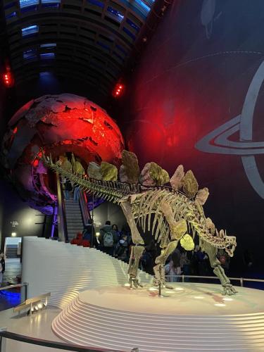 385547833 721338359480575 6516639339680163174 n