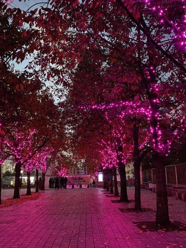 386854004 707641644598035 7346632160768316200 n