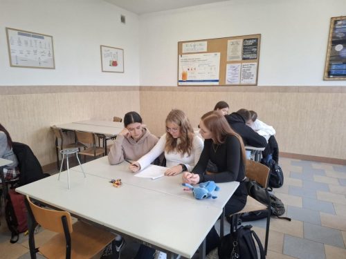 Multimedia-16