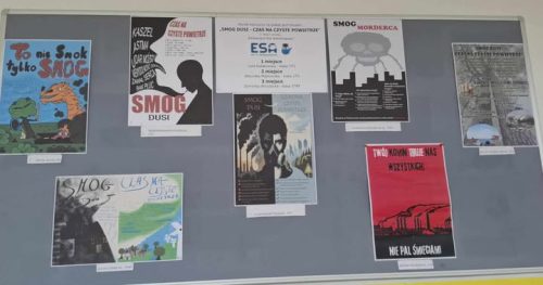 494361589 536056252901323 8114902438368638569 n