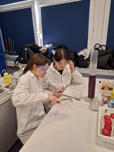 494355604 2025193511304327 6247787098569132422 n