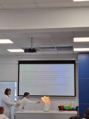 494355806 966329382020571 6170406134438232795 n