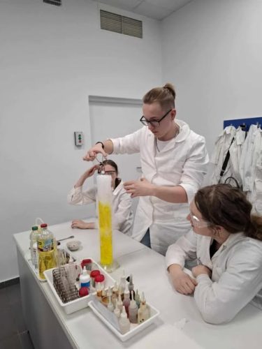 494356140 9520952527982830 2503846044942003177 n