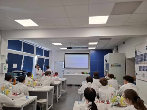 494356406 4013040965682783 4520066881912564710 n