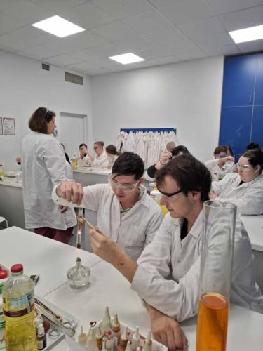 494356881 660242003661435 8237841897487980092 n