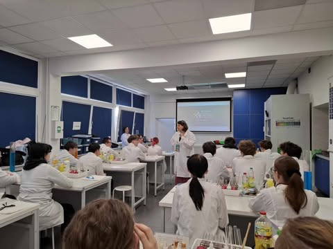 494356945 1045916344057043 8826459709804784747 n