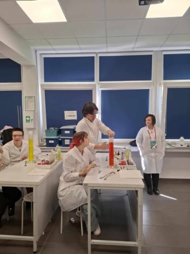 494357234 708118905106922 6890781411122186385 n