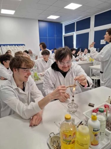 494357295 2050884138727081 6998619740433856469 n