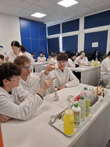 494361614 1361924605056722 4085581029426347470 n