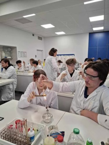 494571230 650303304430027 3269747643878572356 n