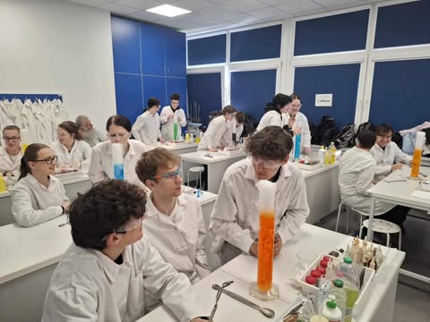 494572412 693881746663570 3606600225498224690 n