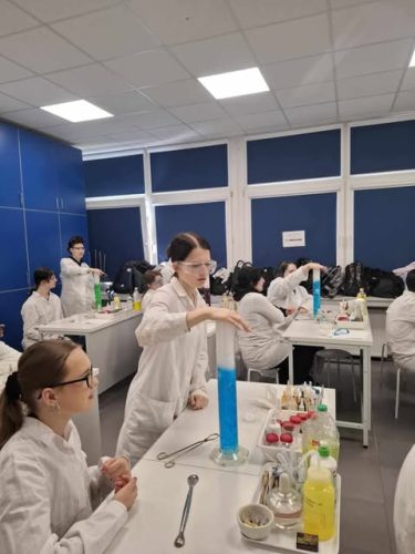 494577636 1734577260467666 5811051074942840082 n