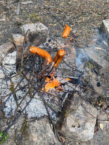 wyjscie-integracyjne (6)